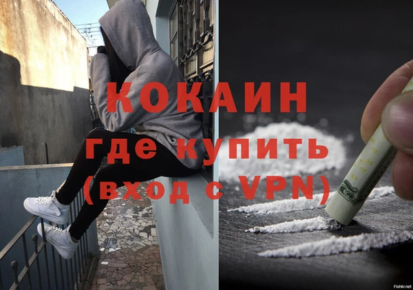мяу мяу мука Чегем