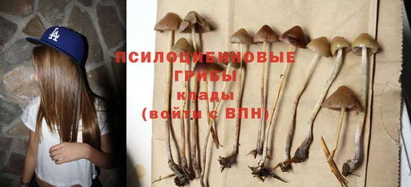 мяу мяу мука Чегем