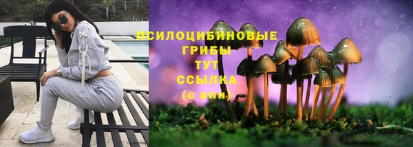 ГАЛЛЮЦИНОГЕННЫЕ ГРИБЫ Шадринск